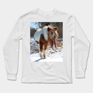 Wild horses, wildlife, gifts, Assateague Island, Wild Beauty Long Sleeve T-Shirt